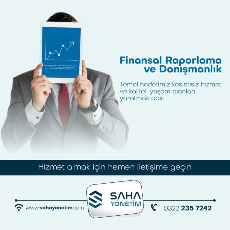 Finansal raporlama ve danismanlik